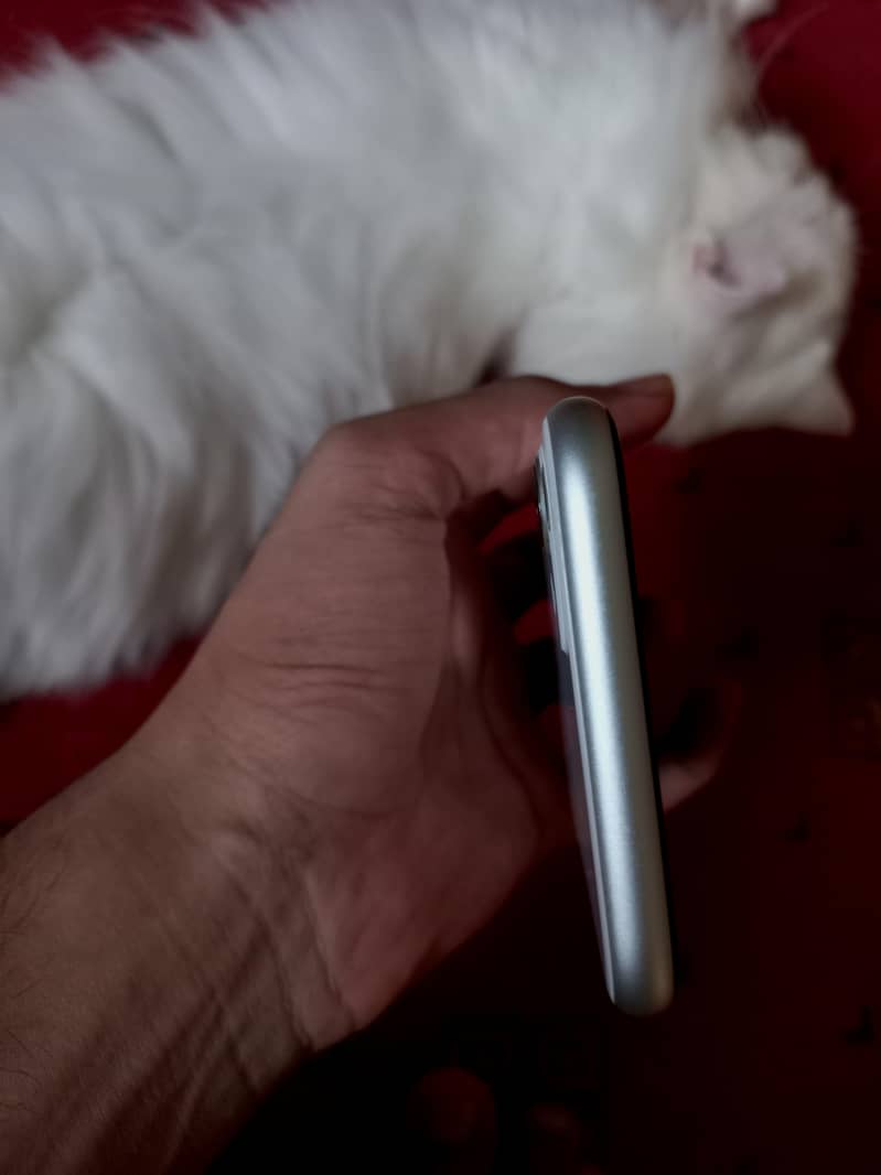 Apple iPhone 11 5