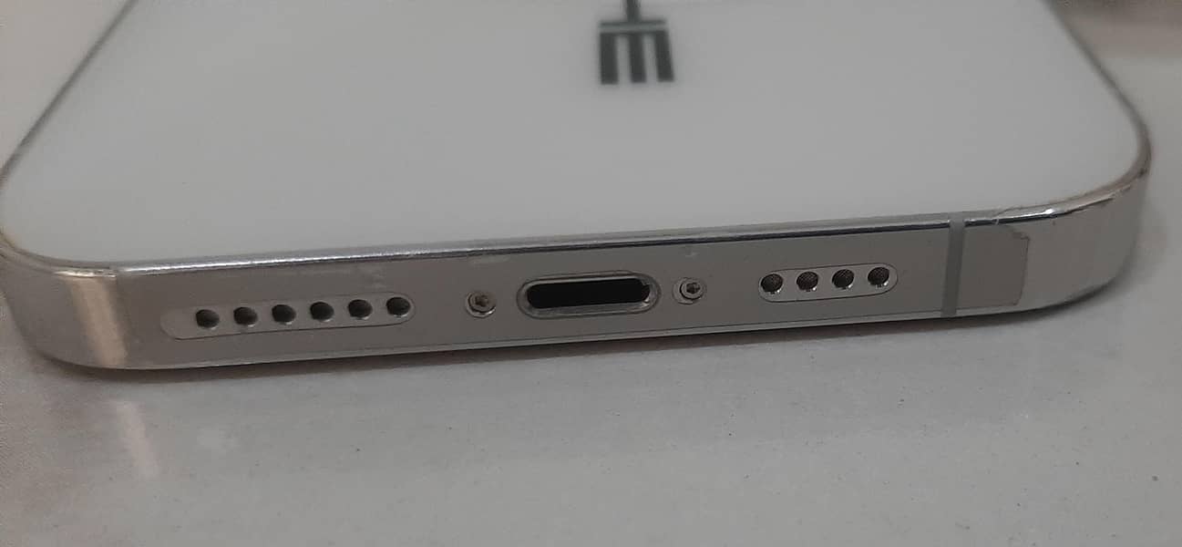 Apple iPhone 13 Pro Max 2