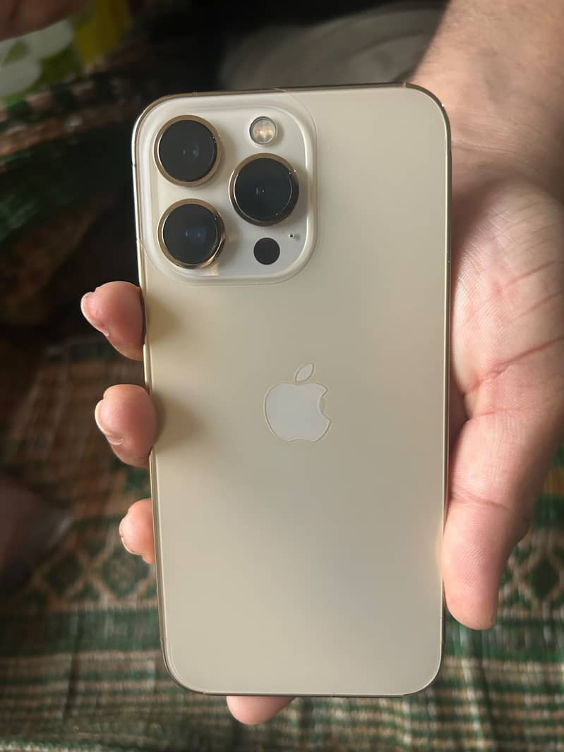 Apple iPhone 13 Pro 1