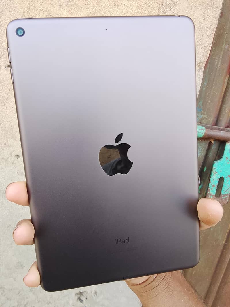 ipad mini 5 0