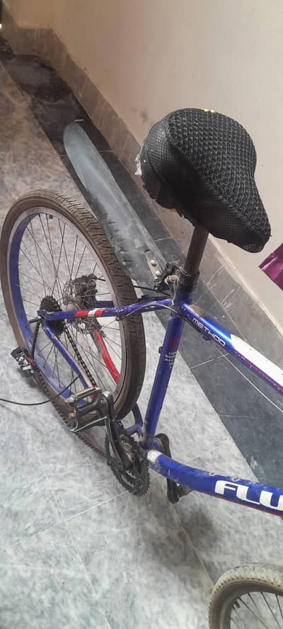 sport cycle