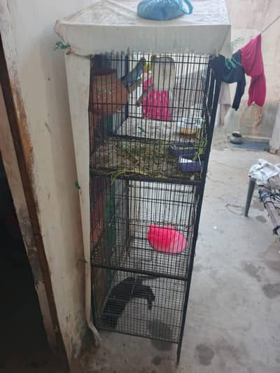 cage full vip