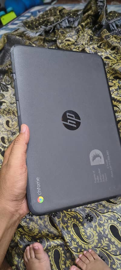 HP Chromebook (Windows installed)