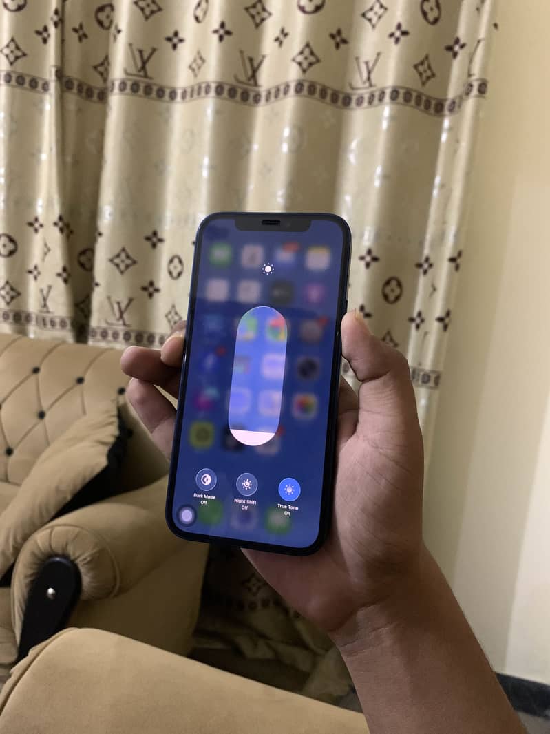Apple iPhone 12 1