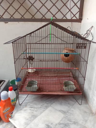Birds cage