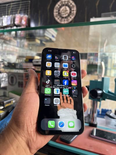 Apple iPhone 13 Pro Max