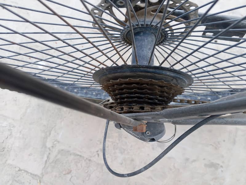 bicycle 3