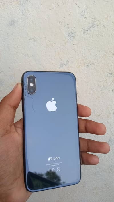 Apple iPhone X