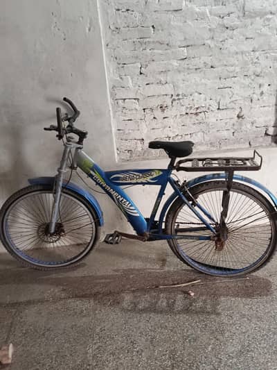 areena classic bicycle