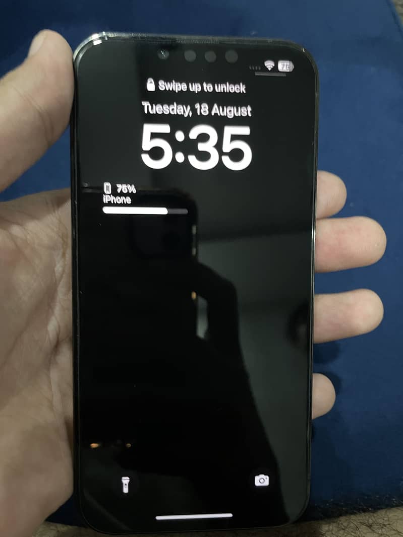 Apple iPhone 13 Pro 3