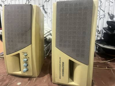 Computer multimedia speaker