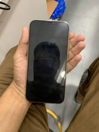 Apple iPhone 12 Pro Max