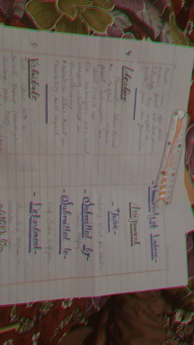 assignment writing