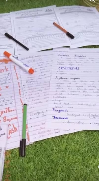 Assignment writing
