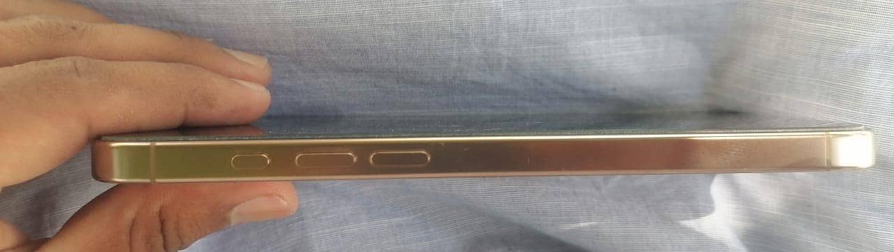 Apple iPhone 16 Pro Max 2
