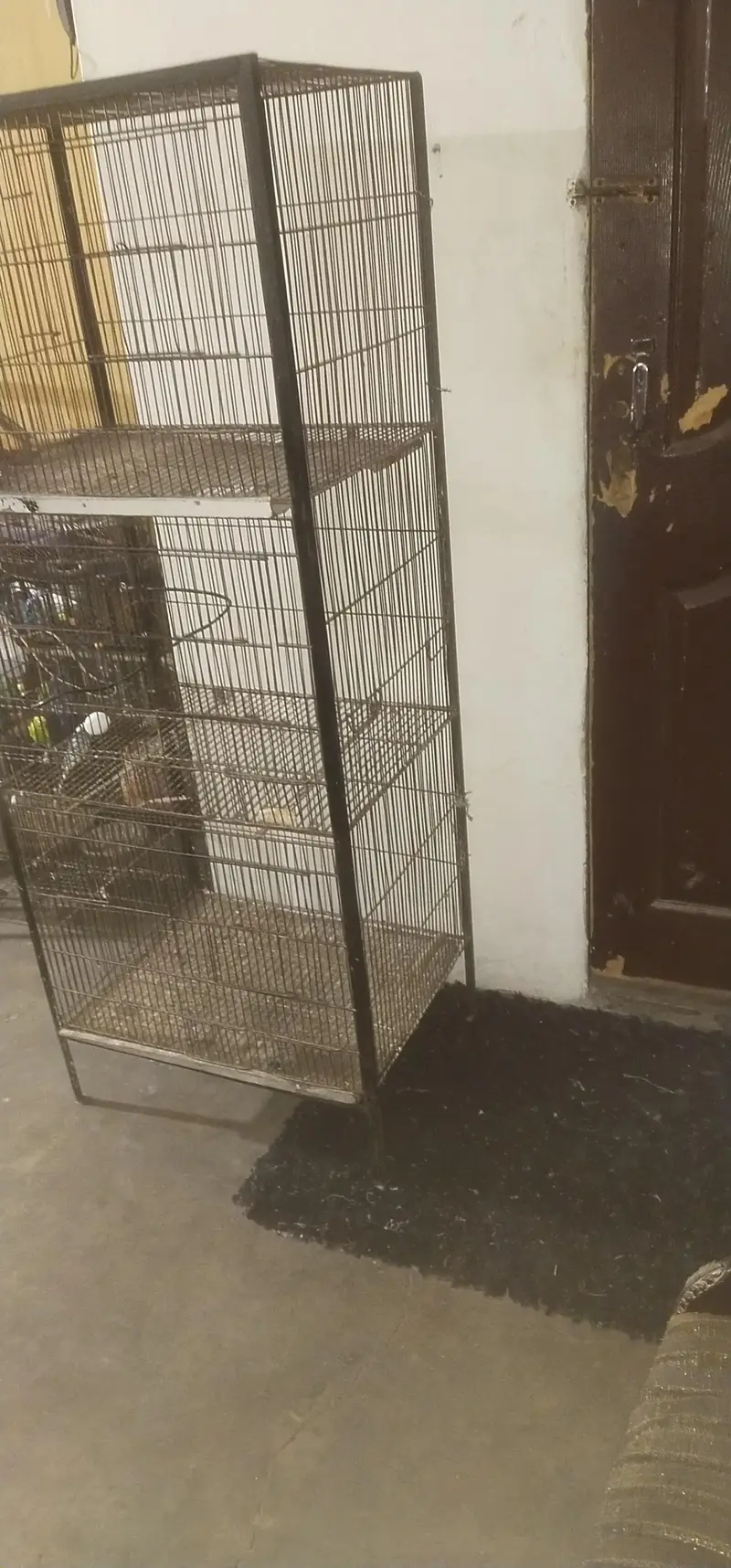 3 portion iron cage all okay heavy duty cage urgent sale — photo 3