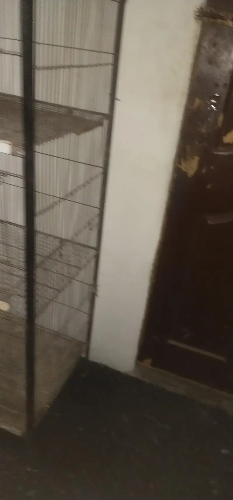 3 portion iron cage all okay heavy duty cage urgent sale — photo 4