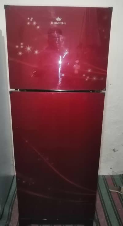 best company Electrolux refrigerator best condition