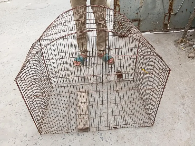 urgent sale — photo 3