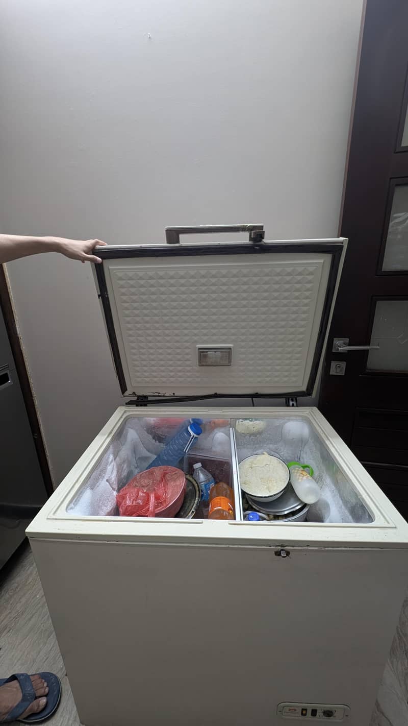 Dawnlance Deep Freezer 1
