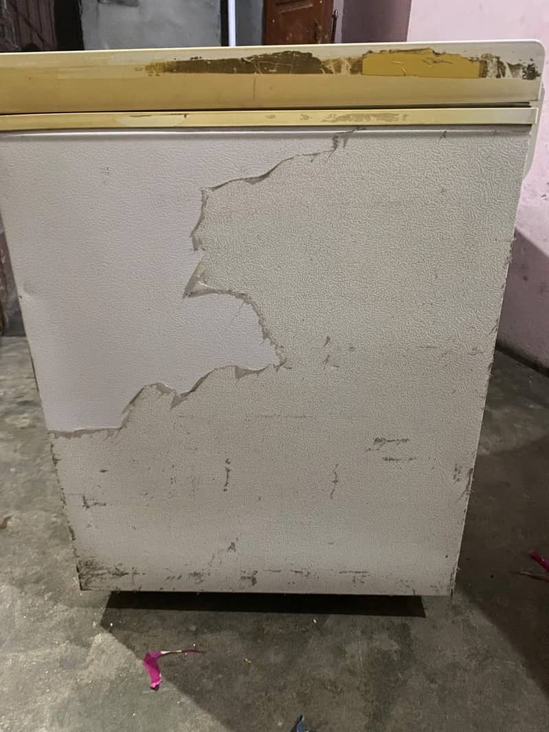 Freezer 3