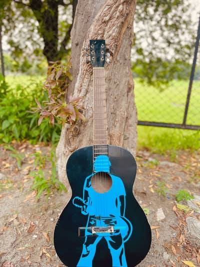 Fully furnished guitar