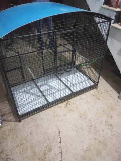 Row parrots, dog cage, cats cage, gray parrot cage