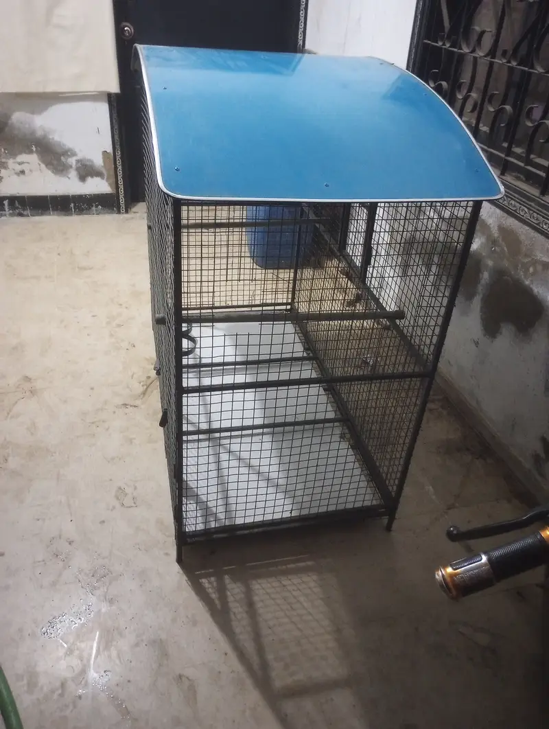 Row parrots, dog cage, cats cage, gray parrot cage — photo 2