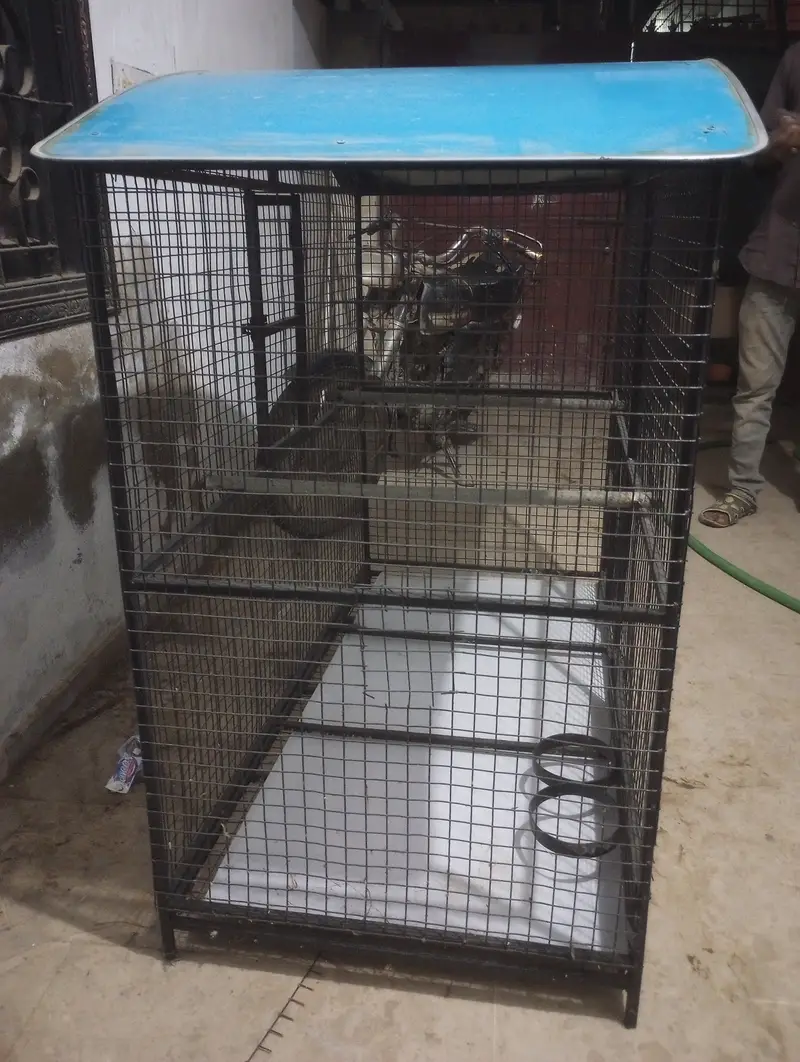 Row parrots, dog cage, cats cage, gray parrot cage — photo 4