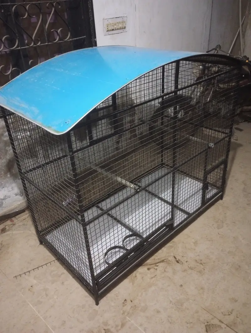 Row parrots, dog cage, cats cage, gray parrot cage — photo 5