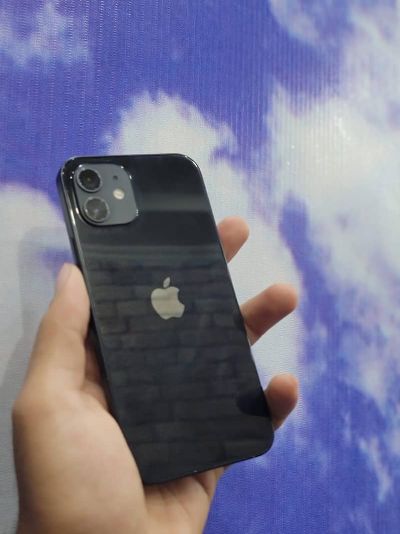 Apple iPhone 12 1
