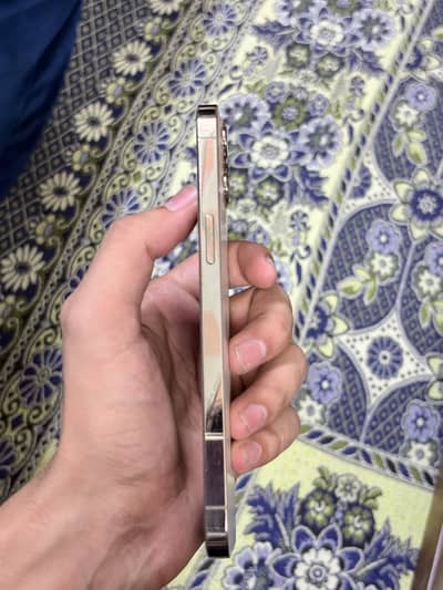 Apple iPhone 12 Pro Max