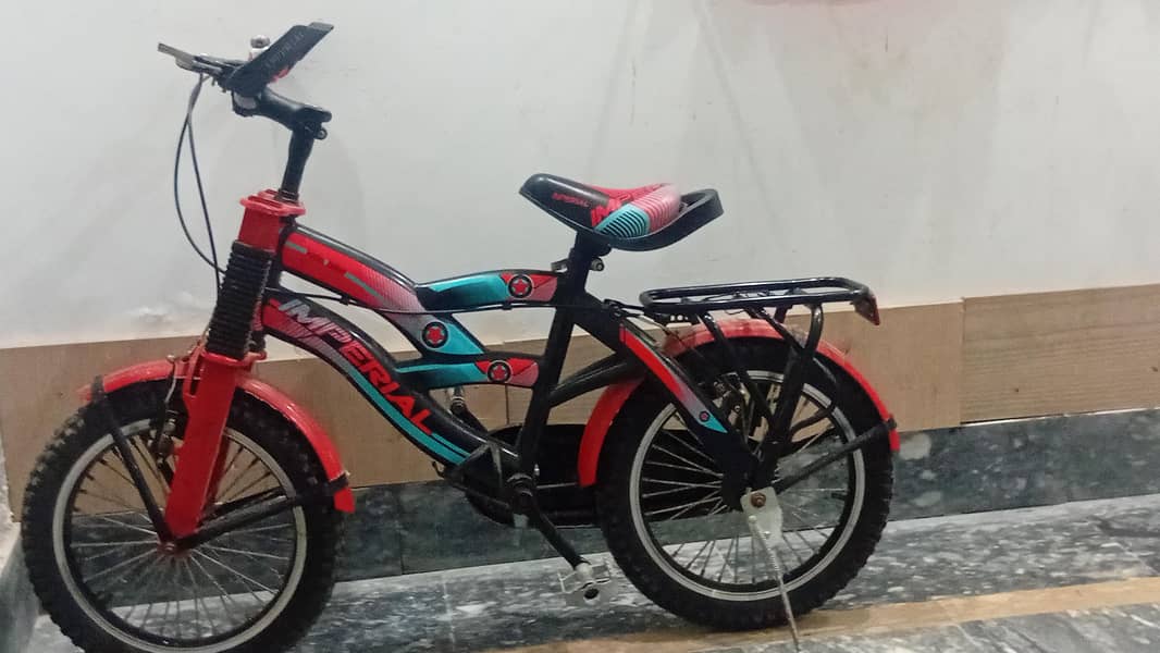 Bicycle 1