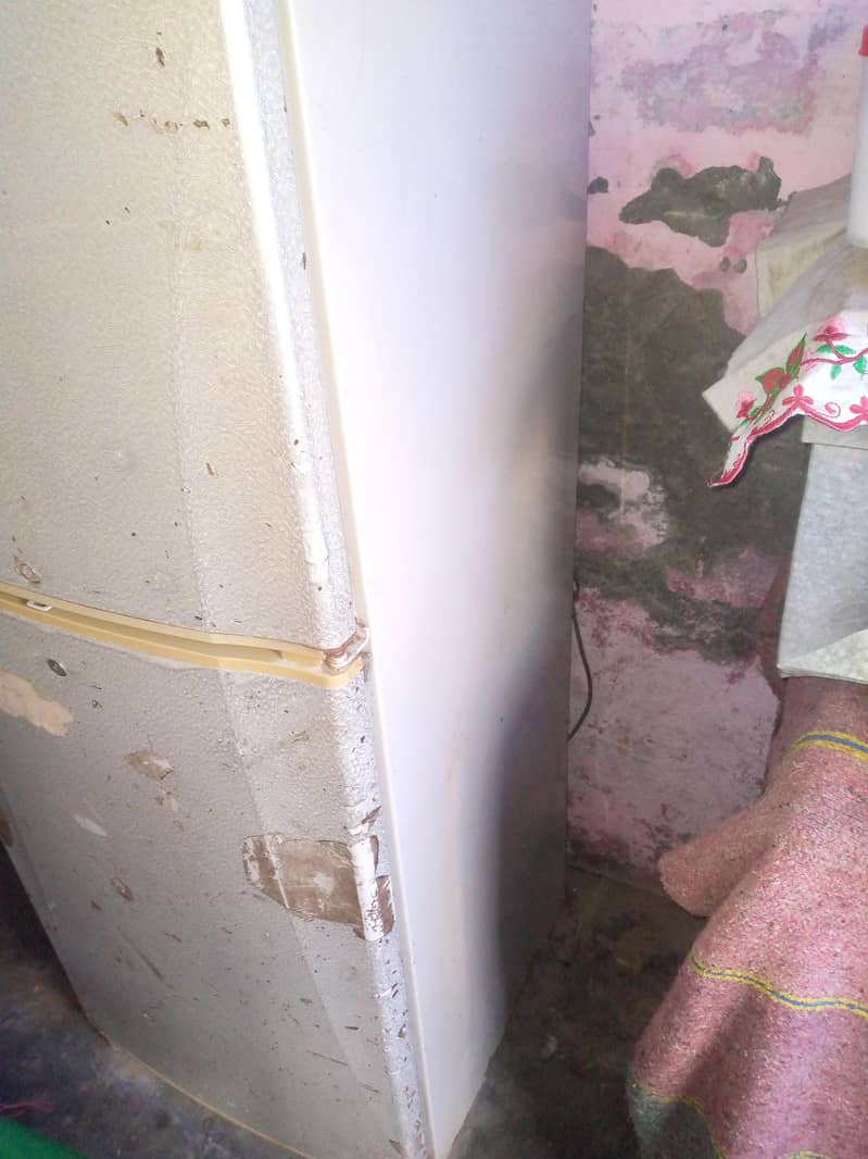 freezer 1