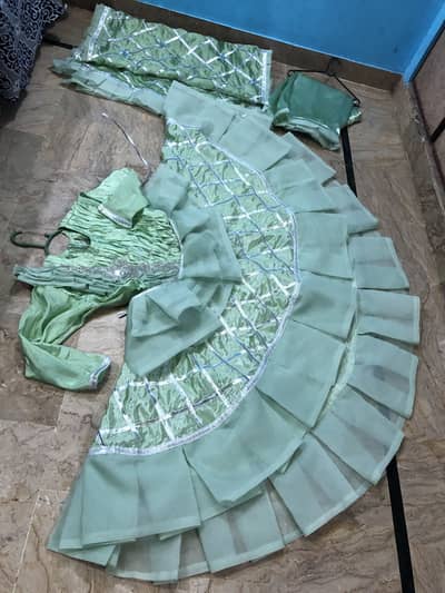 Tail frok with flapper work on doppata also sheesha silk and organza
