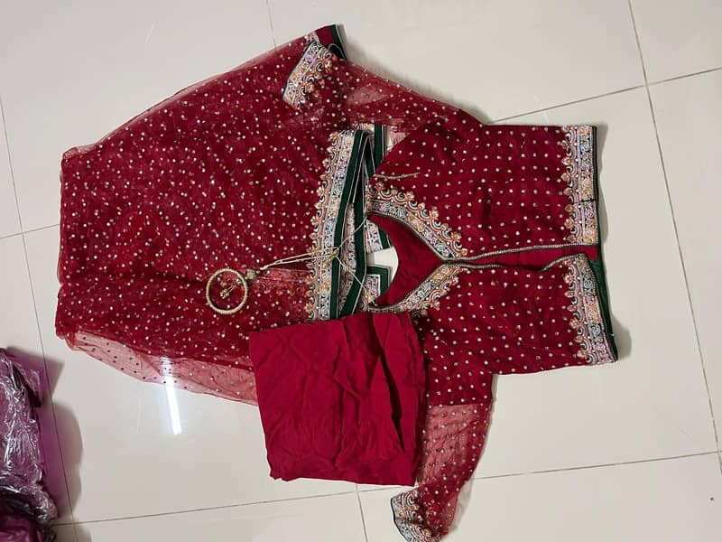 Red Net Saree 2