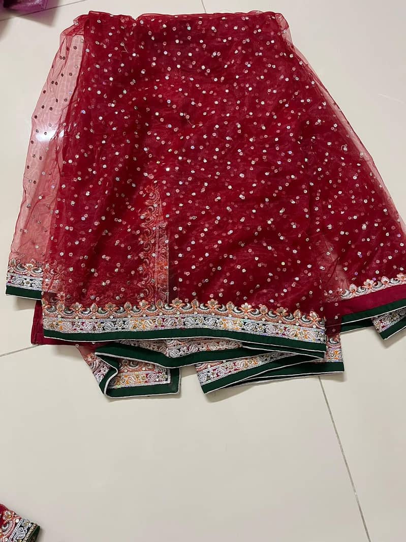 Red Net Saree 3