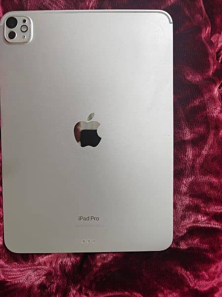 iPad Pro m4 1