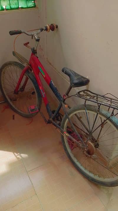 cycle in full size