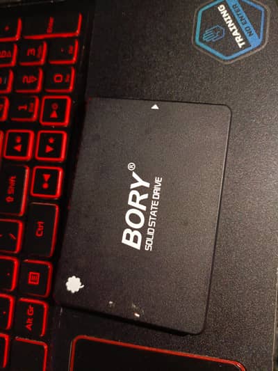 256gb sata ssd bory