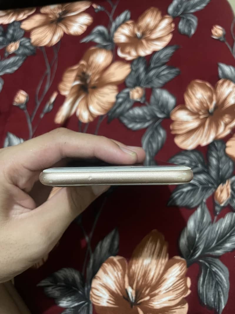 Apple iPhone 8 Plus 2
