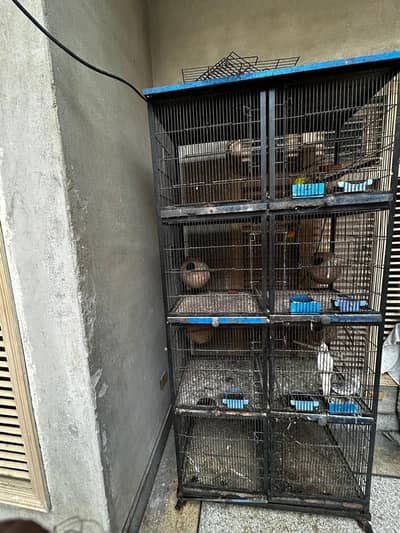 cage for sale with birds