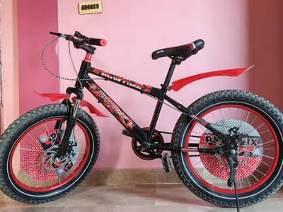 Panther Bicycle for sale_ 16,000 PKR