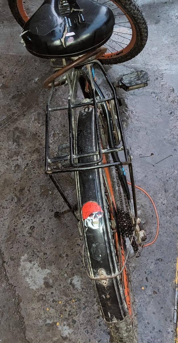 Apple cycle 3