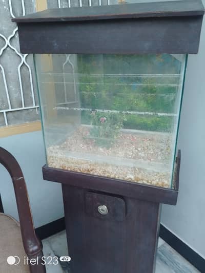 Fish Aquarium