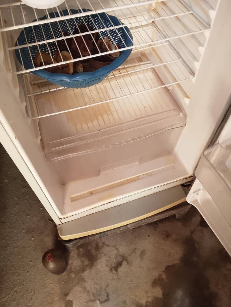 haiar 4