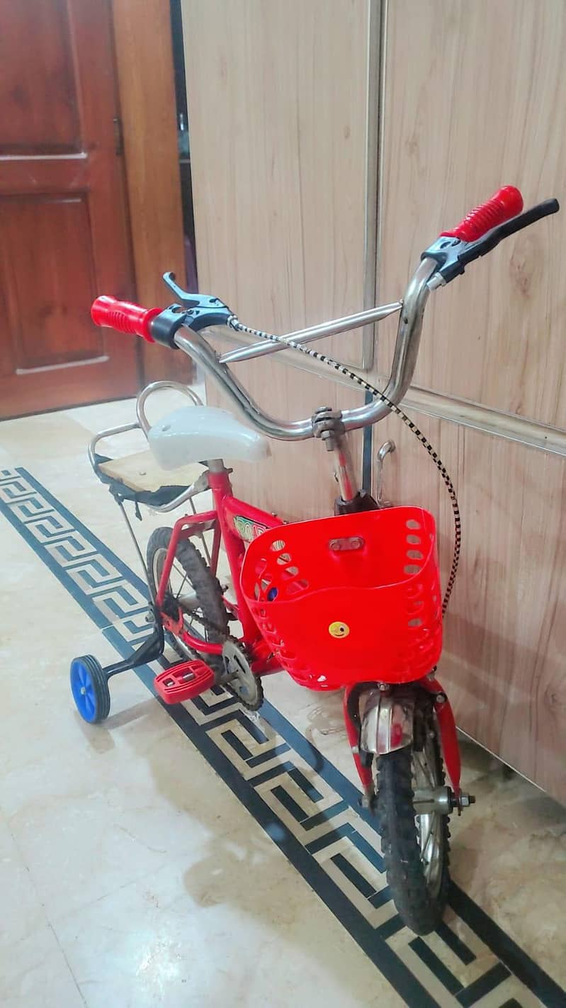 usd bicycles 1