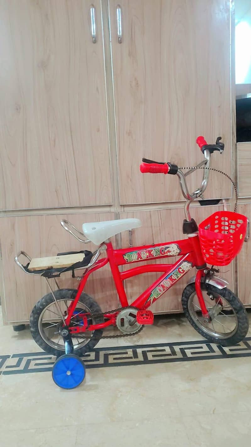 usd bicycles 4