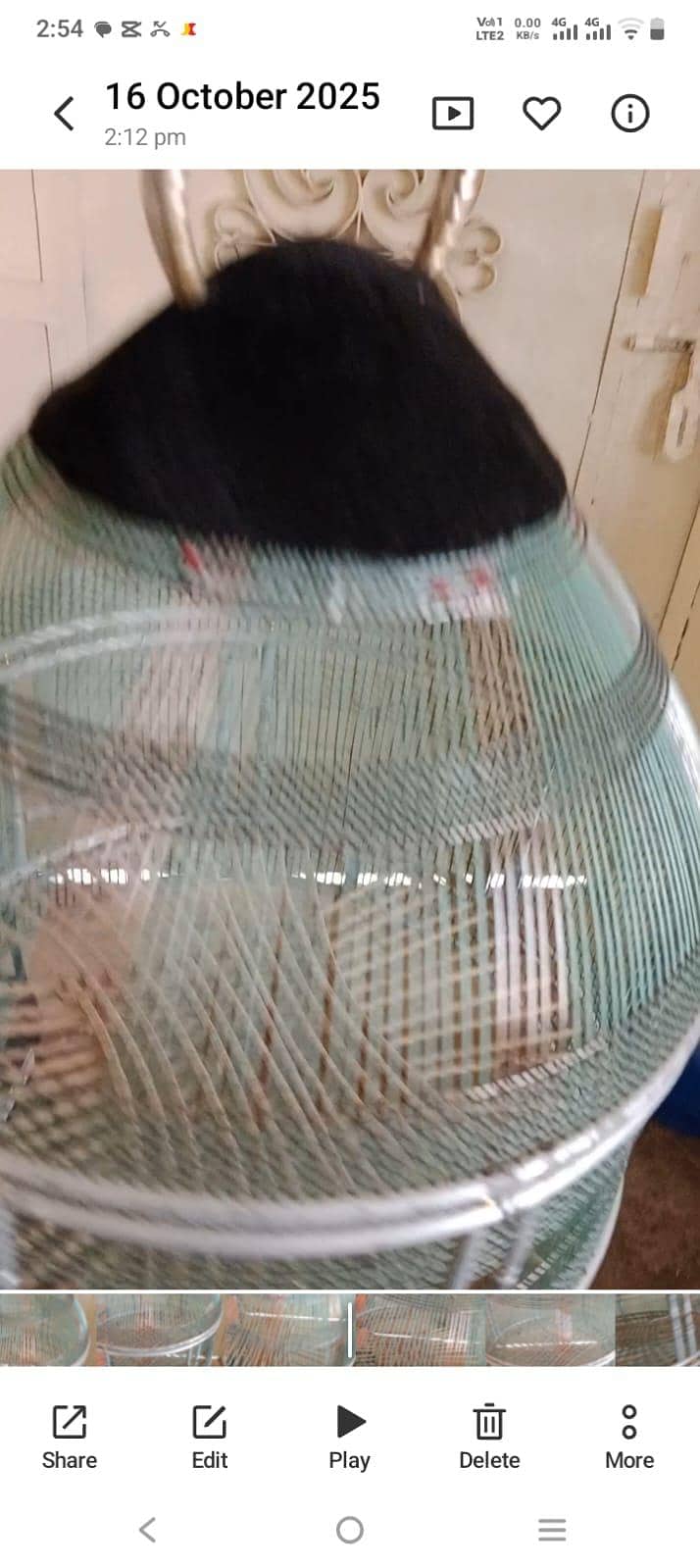 teetar cage 1