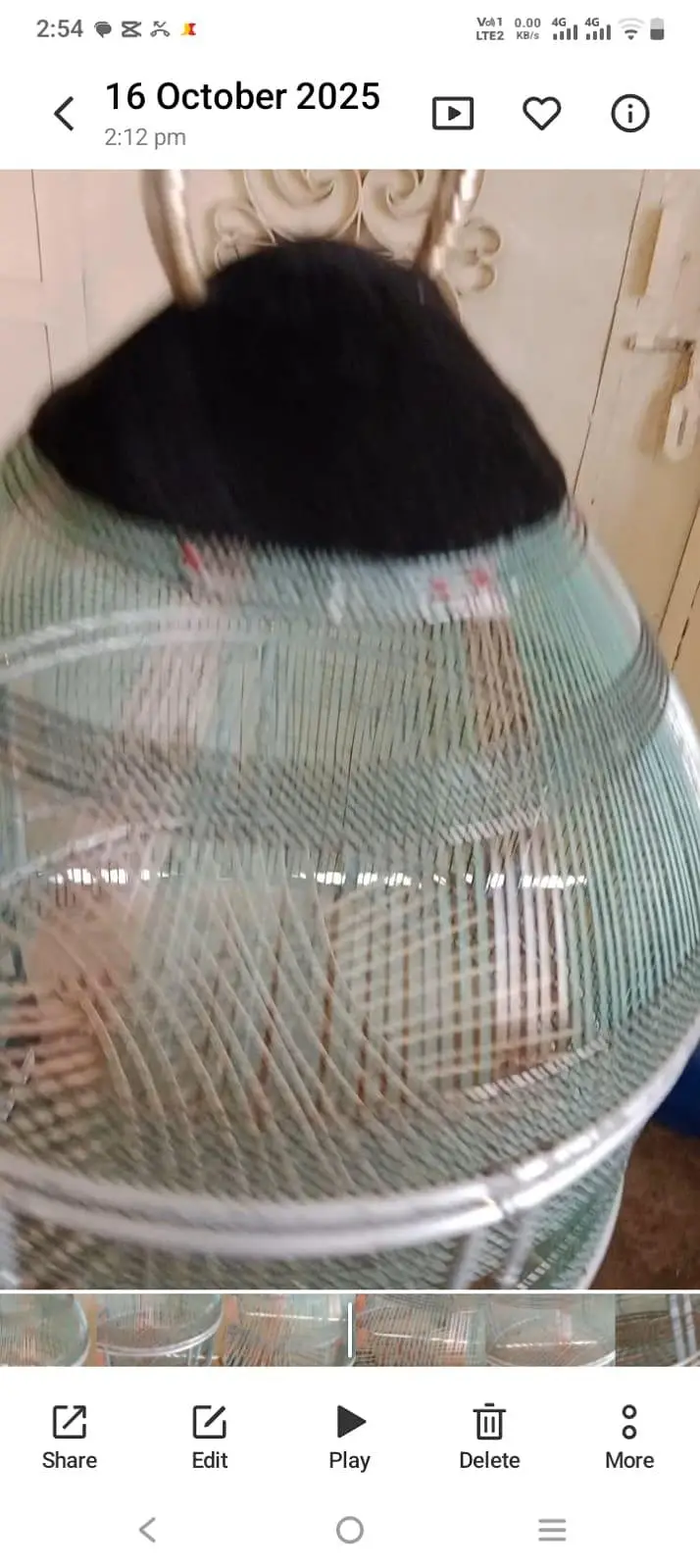 teetar cage — photo 2